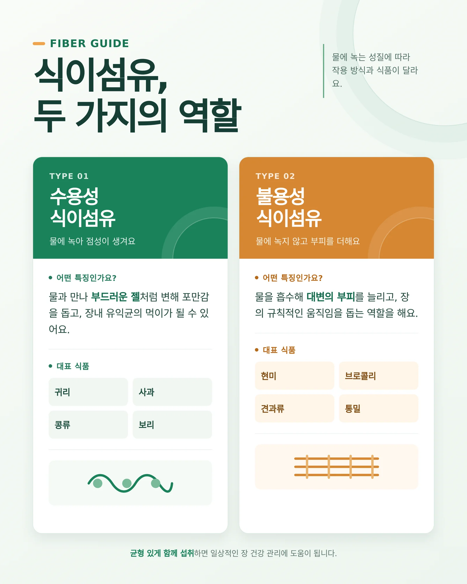 식이섬유와 프리바이오틱스의 관계를 보여주는 벤다이어그램 형태의 식품 구성 이미지